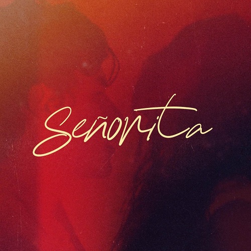 دانلود آهنگ جدید شان مندز به نام Senorita